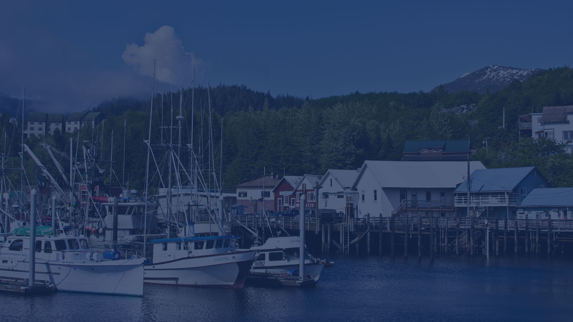Harbor-1-Blue-75